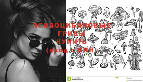 дмт Покровск