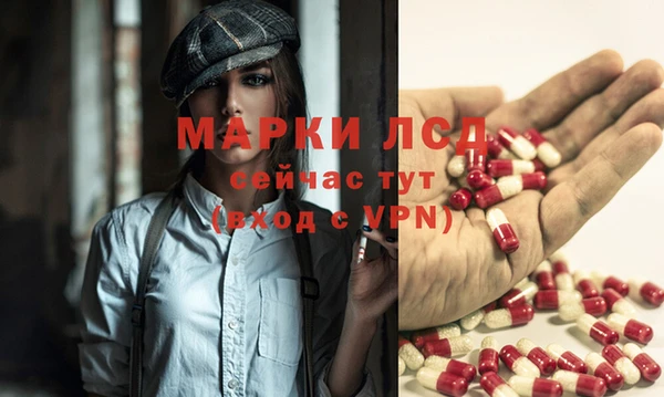 тгк Покров